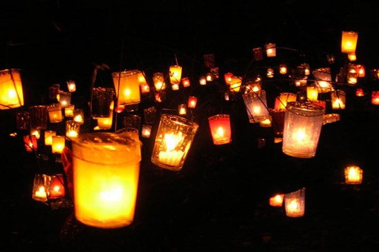 Lichtjeswandeling-oosterbos-klazienaveen-staatsbosbeheer